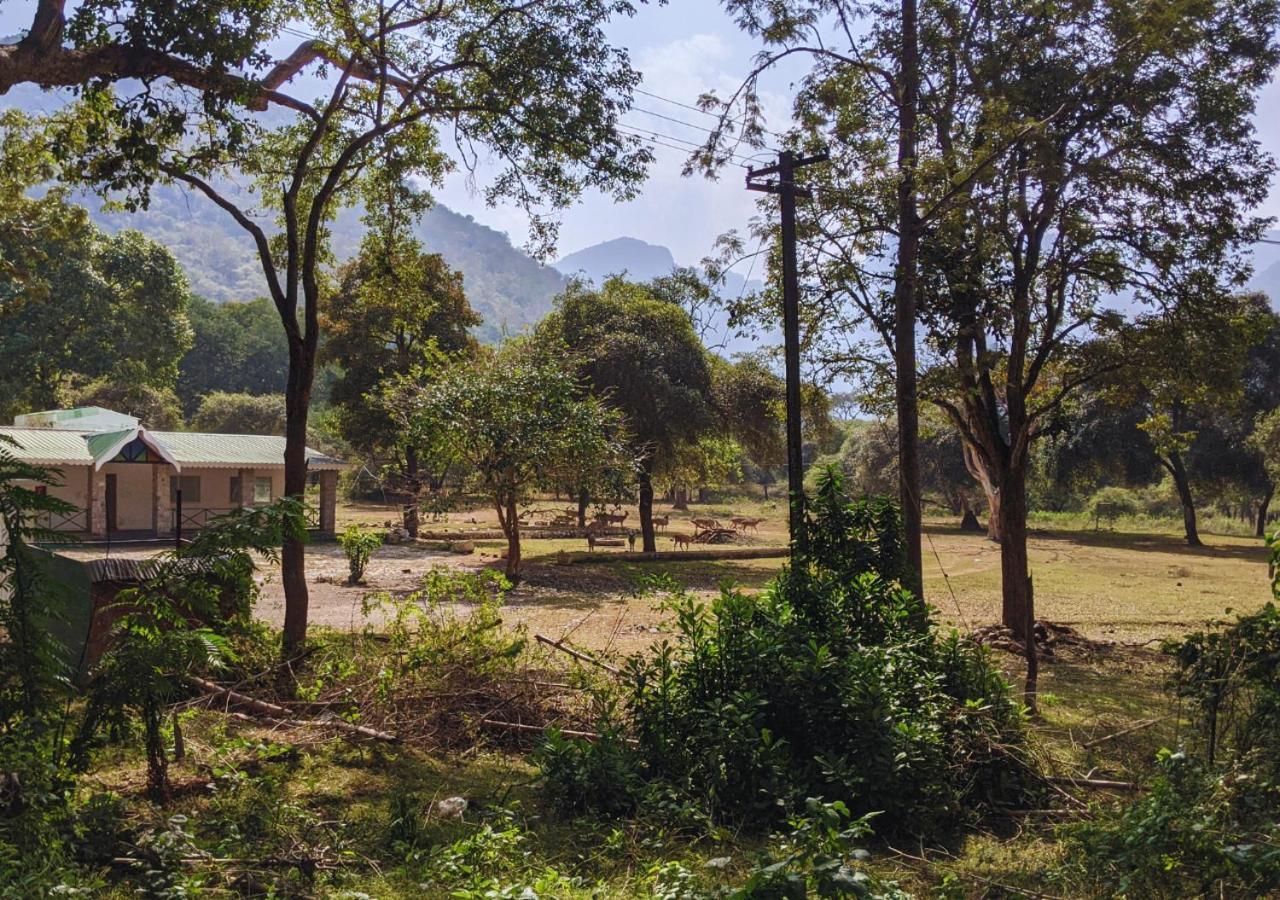 Wild Pastures By Nature Resorts And Stays Masinagudi Exterior photo